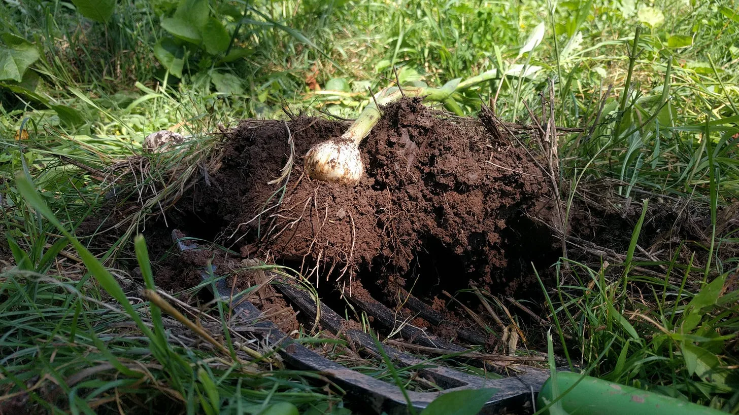 Summer Means More Farming, Less Writing
