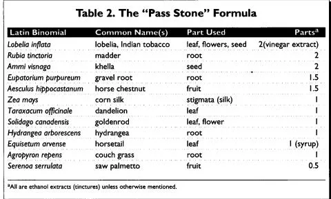 Kidney Stones: Root Causes and Simple Remedies