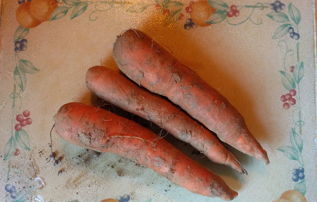 Are Dirty/Raw/Ugly Vegetables Better for us?