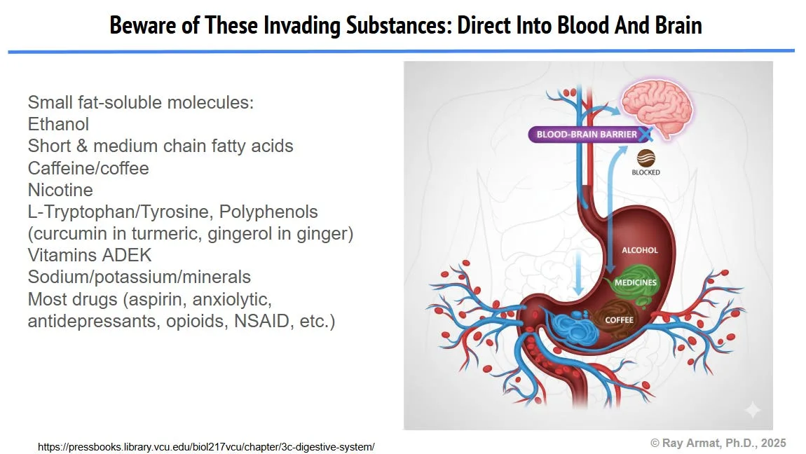 Part II: Root Causes of Mental Illness and Neurodegenerative Diseases, in Simple Terms