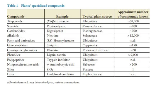 What Can Humans Learn from Plants in Insect Defense Without any Synthetic Pesticides?