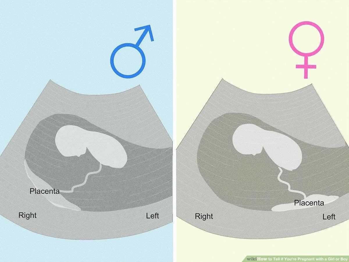Myth or Fact: Factors that can Control If Your Baby will be a Boy or a Girl