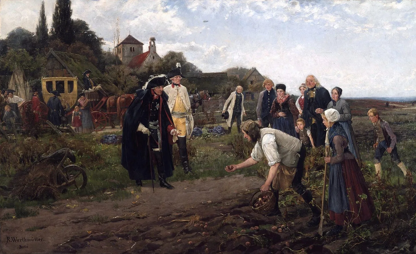 This Low-Cost Crop is a Well-Kept Health Food Secret which Helped Civilizations Grow in Europe and America