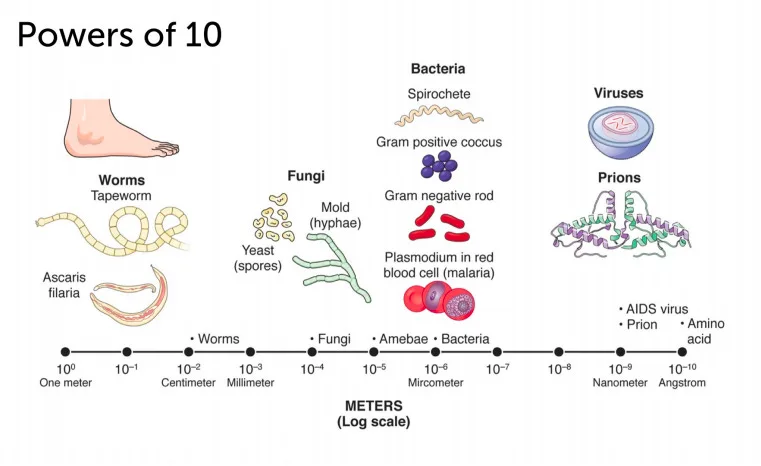 Source: www.chegg.com