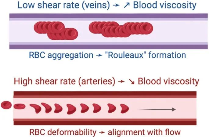 https://link.springer.com/rwe/10.1007/978-3-031-19369-9_14-1