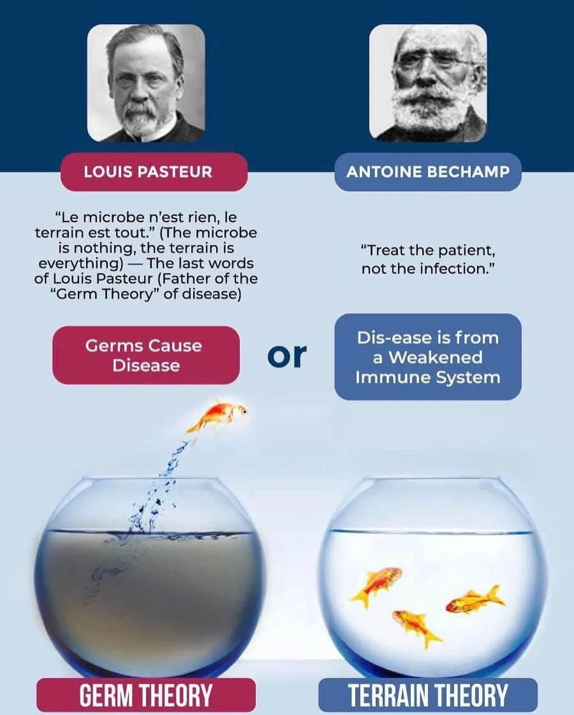 What is in a Name? Is Virology an Ideology or Real Science?