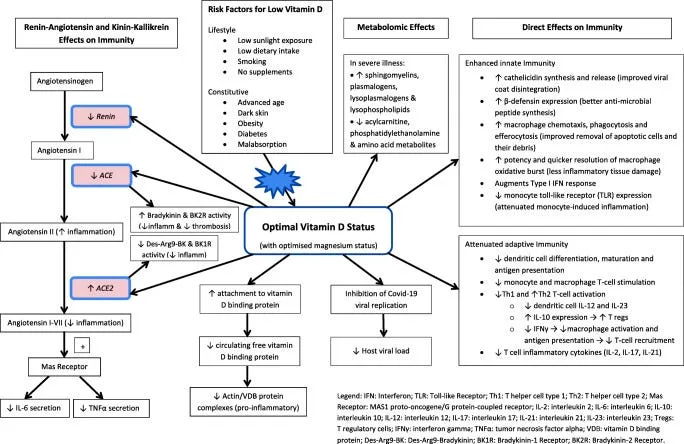 Vitamin D: Mouse/Pet Killer or COVID-Fighter?