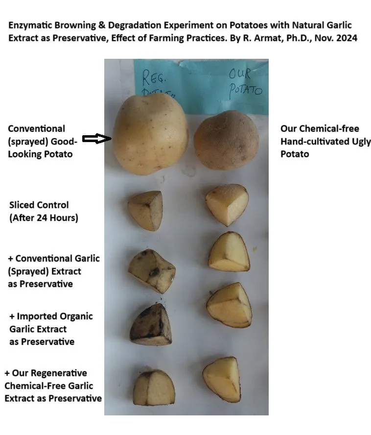 Are Dirty/Raw/Ugly Vegetables Better for us?