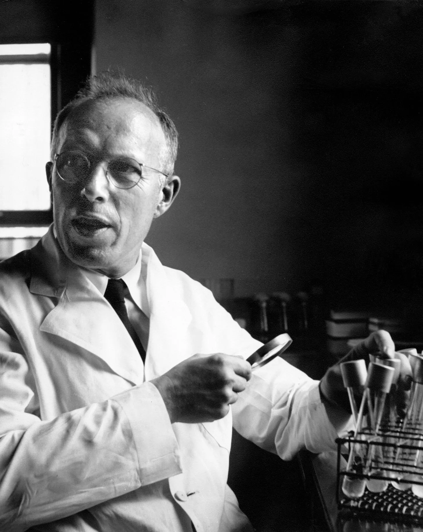 Informal Tennis Shoes: How a Top Microbiologist Chose America Over Homeland France?