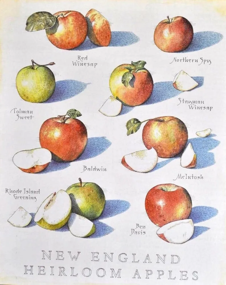 The Foolish Quest for the Perfect Apple