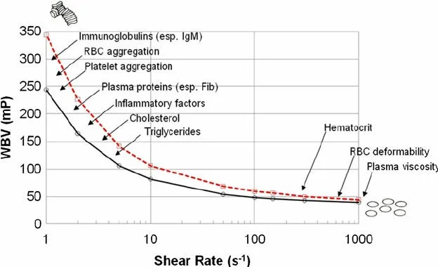 What's Rheology? The Science of Flow, From Our Blood to Mountains