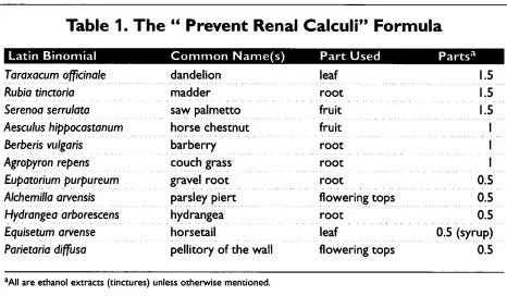 Kidney Stones: Root Causes and Simple Remedies