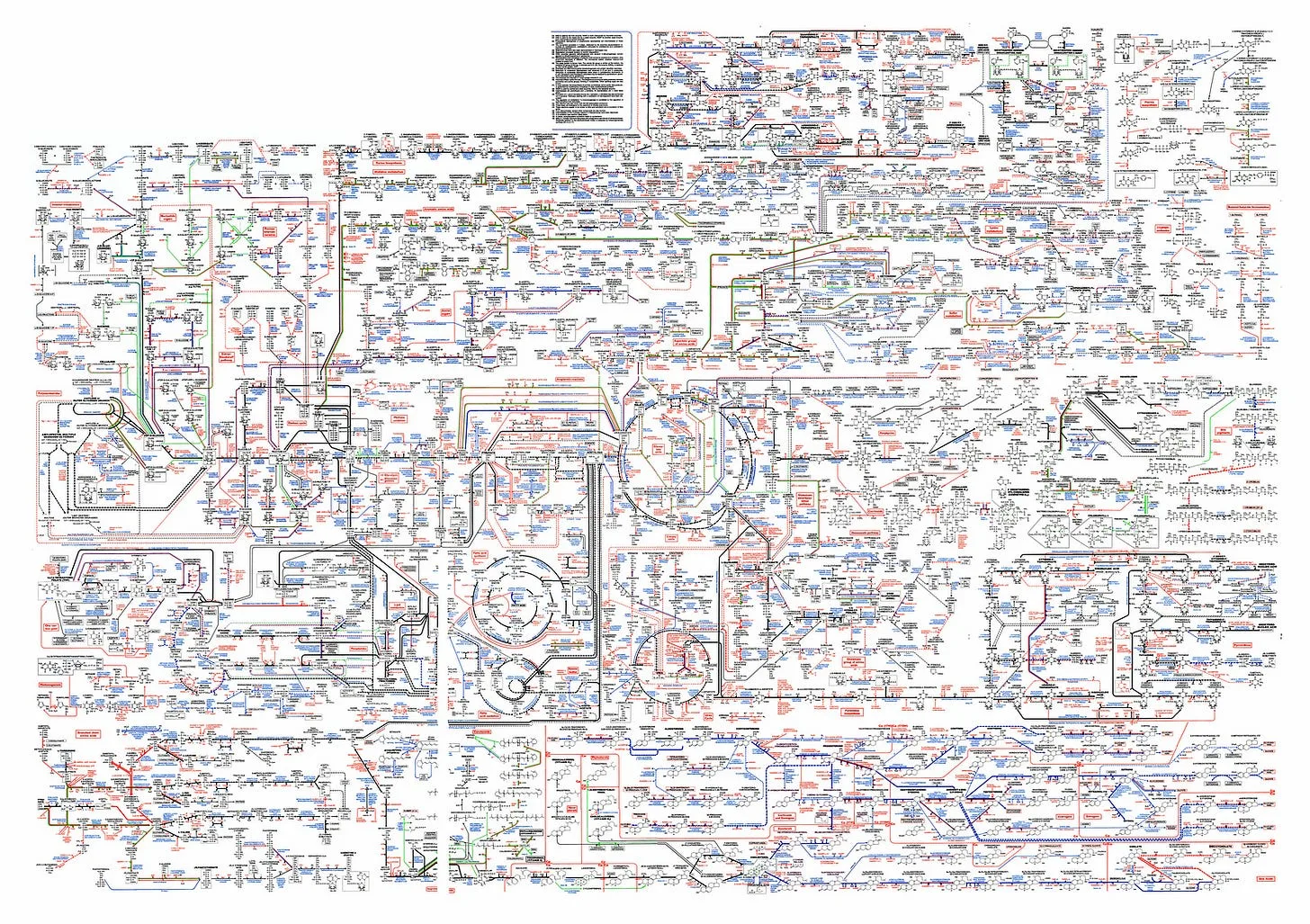 Source: https://mhrussel.files.wordpress.com/2012/12/metabolic_pathways_for_plotter_landscape_quantized-png.jpg