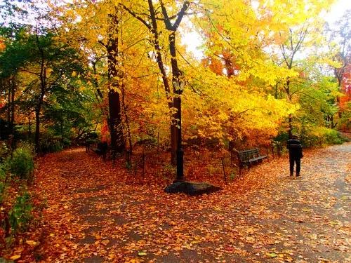 An Antidote to Addictions and Habitual Ruts, and a New Definition of Discipline