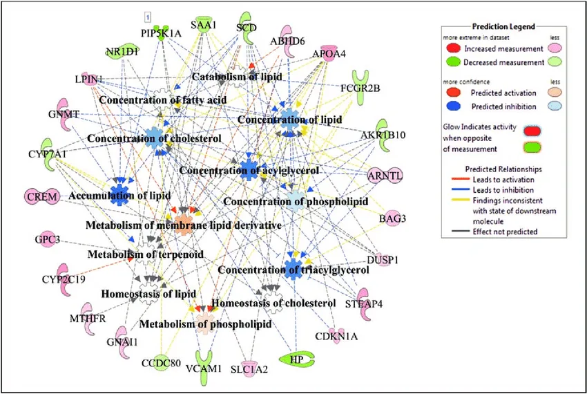 Source: https://www.researchgate.net/publication/336264742_Liver_transcriptome_profiling_of_beef_steers_with_divergent_growth_rate_feed_intake_or_metabolic_body_weight_phenotypes