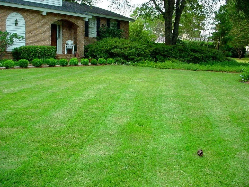 The Disturbing Neuroscience of Suburban Lawn Perfectionism