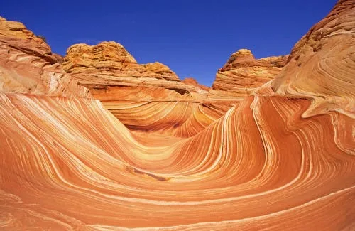 What's Rheology? The Science of Flow, From Our Blood to Mountains