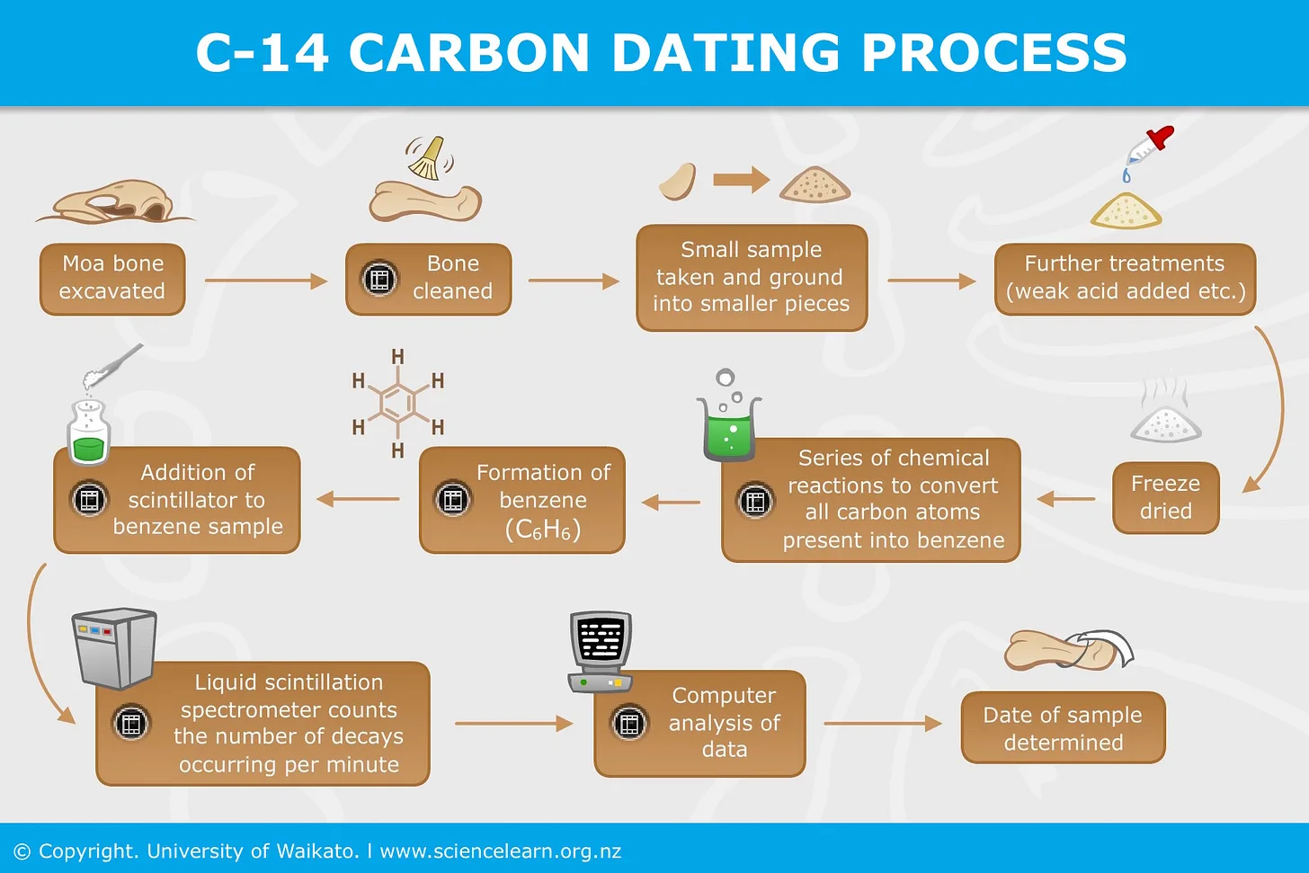 Facts and Myths About Carbon Dating