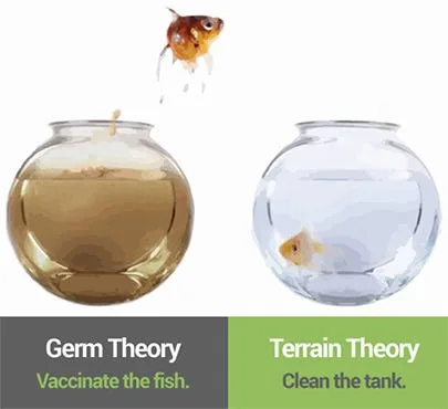 Terrain Theory or Germ Theory?