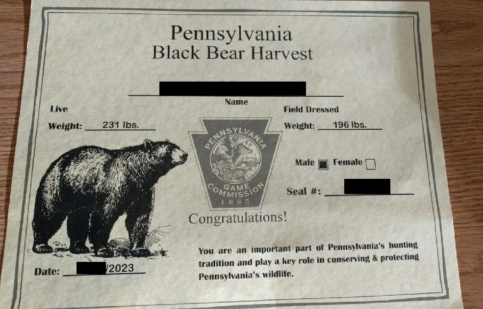 Facts About Bear Hunting