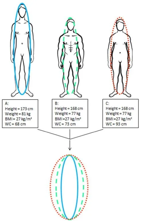 Body Roundness Index or the Body Mass Index?
