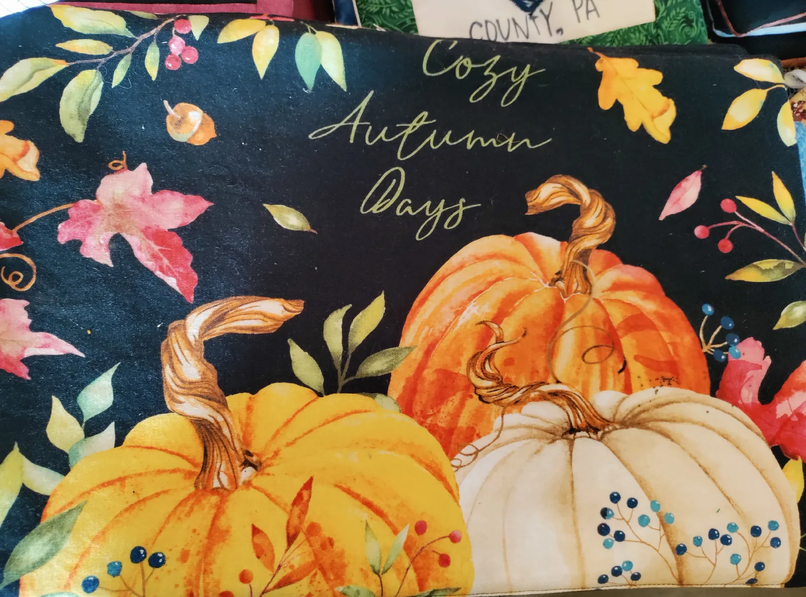 Quilted Placemats (Set of 4), Pennsylvania Dutch Hand-Made, Direct from Amish Family. Save 20-40% vs. Stores
